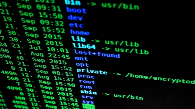 Servidor Linux